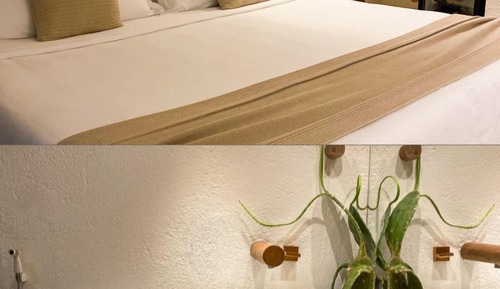 Standard Suite, 1 King Bed (Pargo)