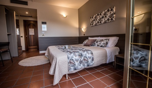 Deluxe Double or Twin Room
