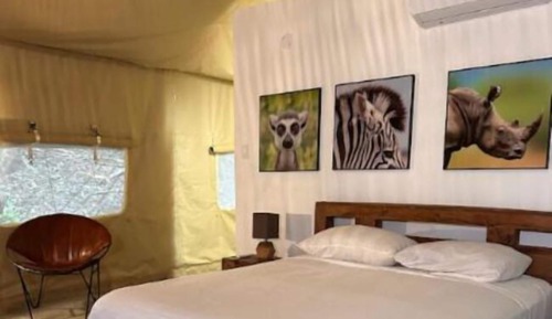 Deluxe Tent