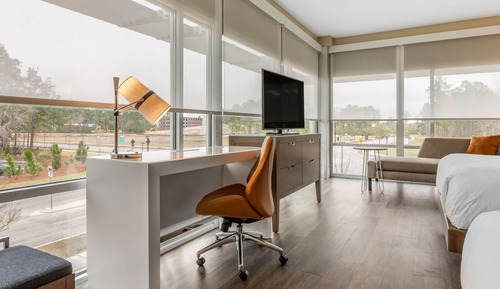 Suite, 1 King Bed