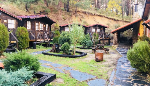 Basic Cabin, Multiple Beds (7 Picos)