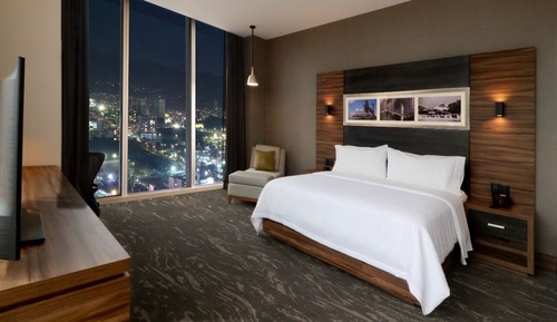 Deluxe Room, 1 Queen Bed, Mountain View