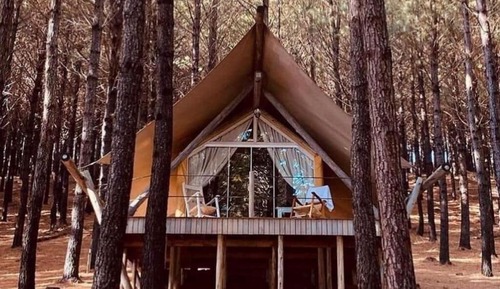 Deluxe Cabin, Partial Lake View
