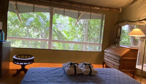 Tent