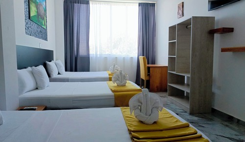 Double or Twin Room, Garden View