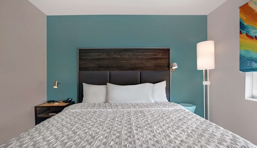 Room, 1 King Bed