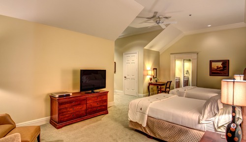 Luxury Suite