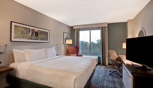 Room, 1 King Bed, Accessible (Hearing)