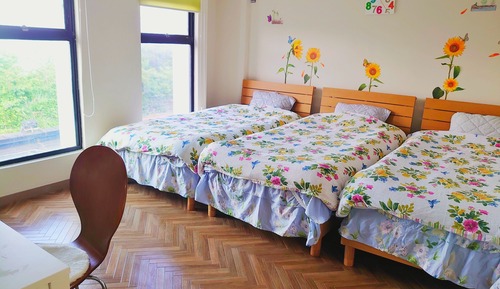 Basic Twin Room