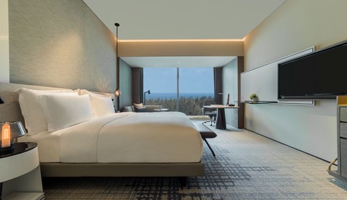 Standard Room, 1 King Bed