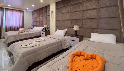 Economy Studio, 1 Bedroom