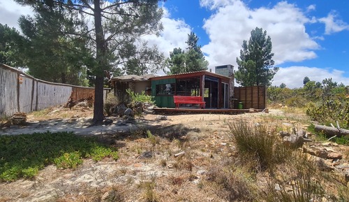 Basic Cabin