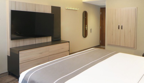 Room, 1 King Bed, Terrace