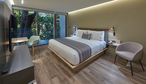 Room, 1 King Bed