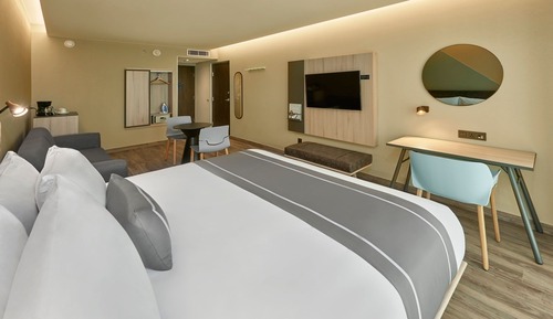 Superior Room, 1 King Bed with Sofa bed