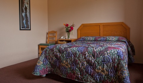 Room (Pet Friendly)