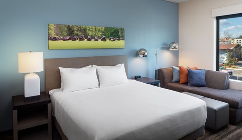 Room, 1 King Bed, Accessible, Bathtub