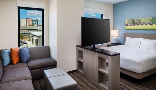 Studio Suite, 1 King Bed with Sofa bed, Accessible (Shower)