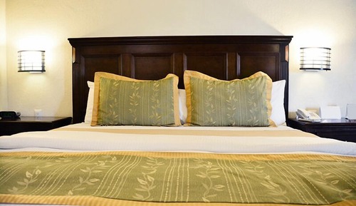 Basic Double Room, 1 King Bed