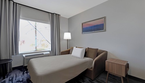 Studio Suite, 1 King Bed with Sofa bed