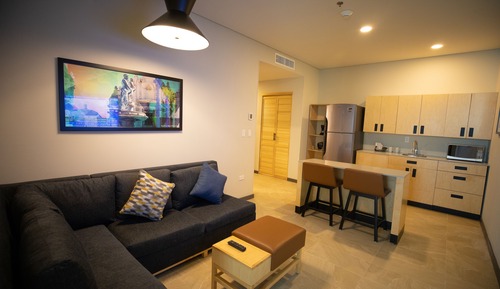 Suite, 1 King Bed with Sofa bed
