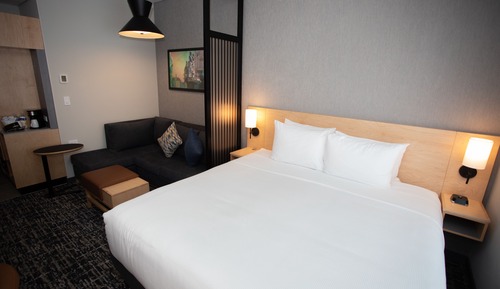 Room, 1 King Bed with Sofa bed