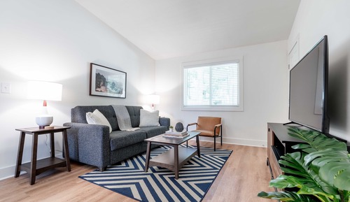 Comfort Apartment