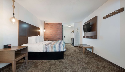 Standard Room, 1 King Bed, Non Smoking, Refrigerator & Microwave (with Sofabed)