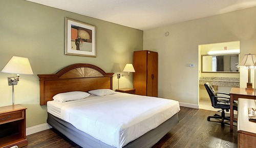 Single Room, 1 King Bed