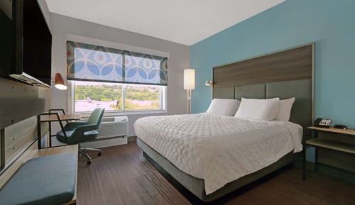 Room, 1 King Bed