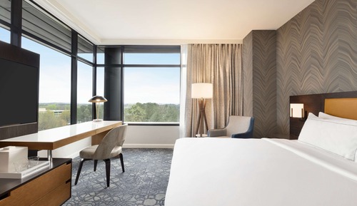 Room, 1 King Bed
