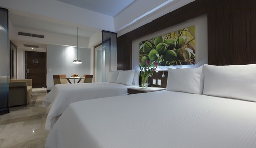 Junior Suite Pool view Doble
