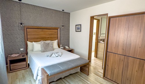 Deluxe Room (Suite Polanco)