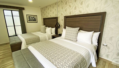 Deluxe Double Room (Suite Narvarte)
