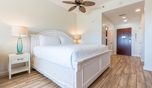 Studio, 1 King Bed with Sofa bed (Luau II 6233)