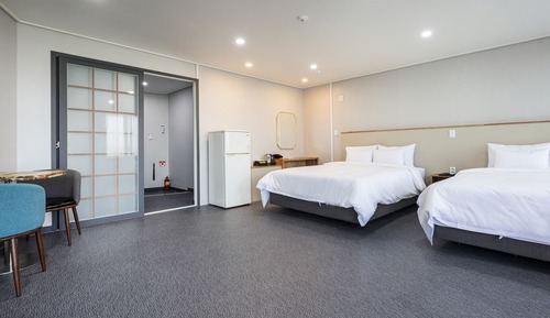Stay - Hotel type: Deluxe Twin Room, Mountain View