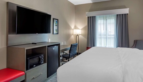 Room, 1 King Bed, Accessible, Non Smoking