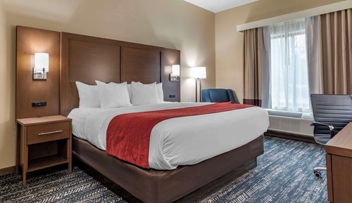 Standard Room, 1 King Bed, Non Smoking