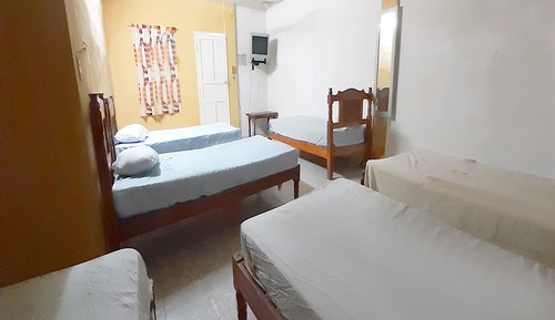 Family Room (6 Single Beds)