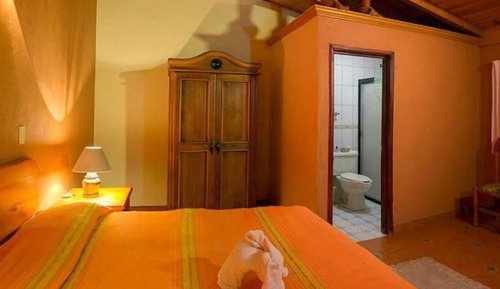 Room, 1 King Bed