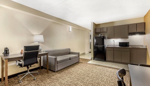 Suite, 1 King Bed, Non Smoking (Efficiency)