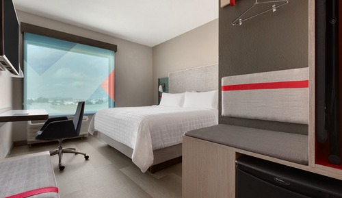Standard Room, 1 King Bed, Mobility Accessible (Roll in Shower)