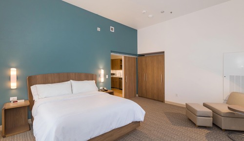Executive Suite, 1 King Bed with Sofa bed, Non Smoking