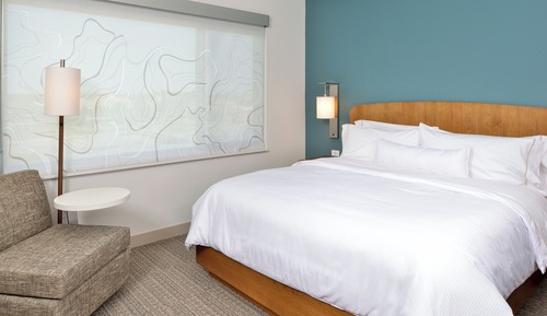 Studio, 1 King Bed (Mobility/Hearing Access, Roll-In Shwr)