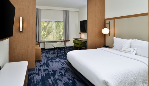 Suite, 1 King Bed with Sofa bed (Hearing Accessible)