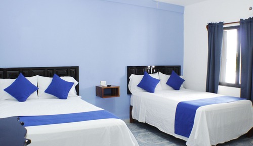 Standard Room, 2 Double Beds