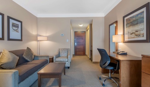 Room, 1 King Bed (Pet Friendly;with Sofabed)