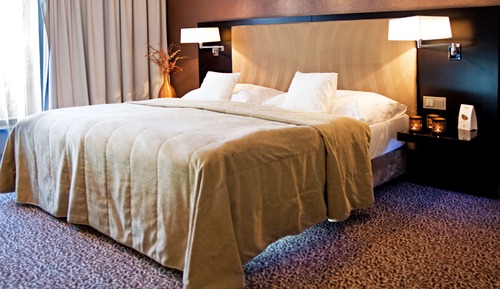 Business Room, 1 King Bed