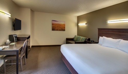 Standard Room, 1 King Bed with Sofa bed (DELUXE KING)