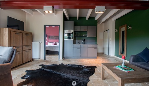 Apartment with 1 bedroom and roof-top terrace (Boardinghouse)